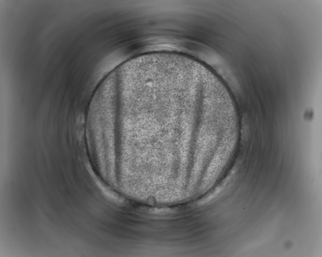 X0000100951233200807221113