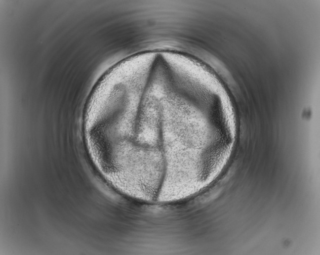 X0000100951234200807221113