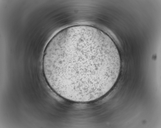 X0000100951236200807221113