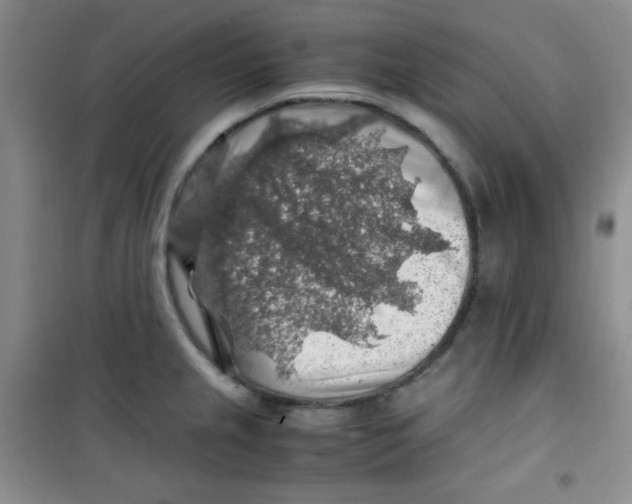 X0000100951237200807221113