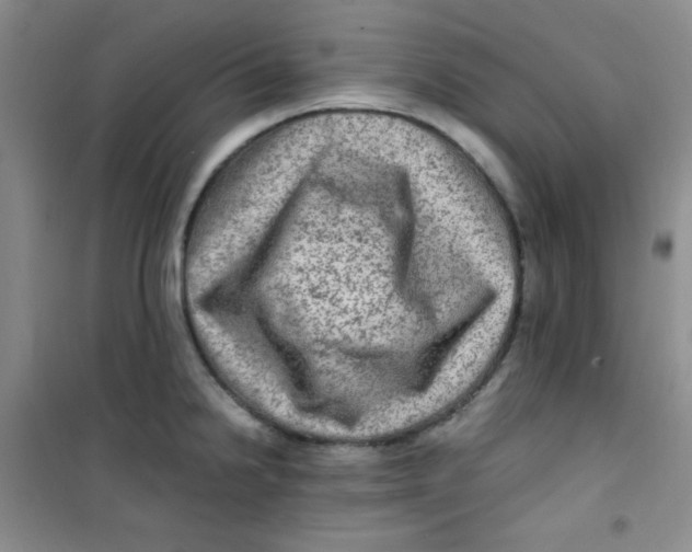 X0000100951238200807221113