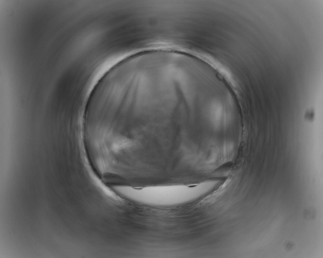 X0000100951239200807221113