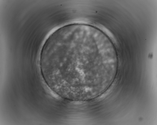 X0000100951240200807221113