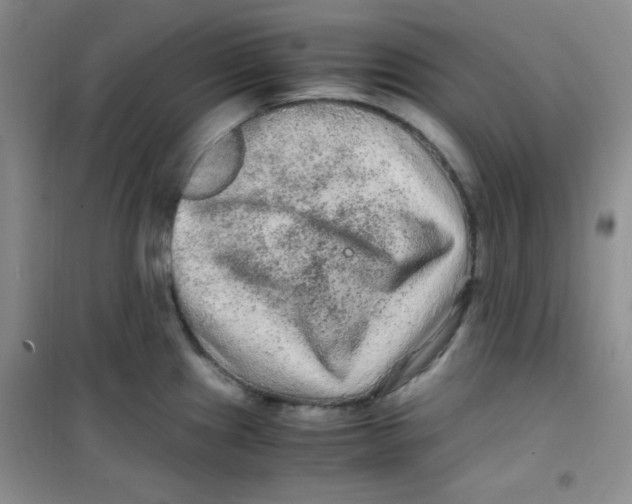 X0000100951241200807221113