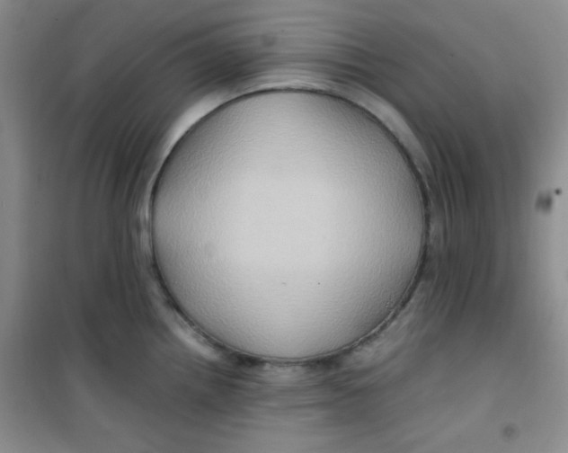 X0000100951242200807221113