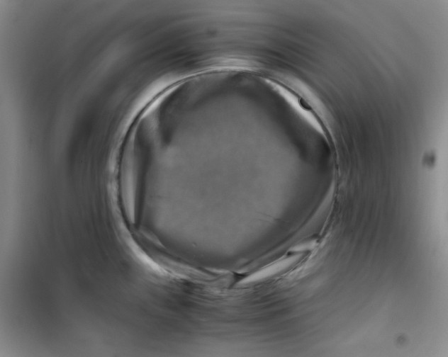 X0000100951243200807221113