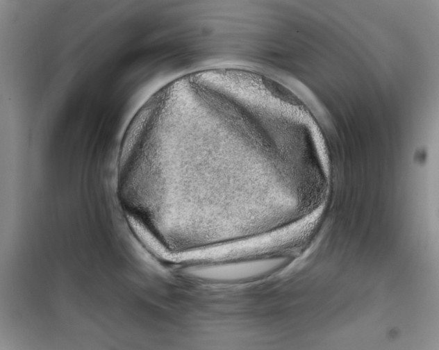 X0000100951244200807221113