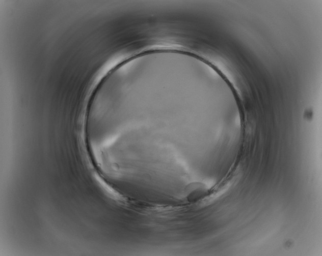 X0000100951245200807221113