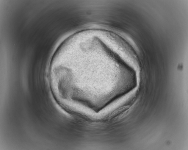 X0000100951247200807221113