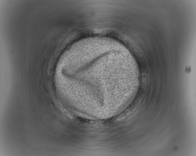 X0000100951249200807221113