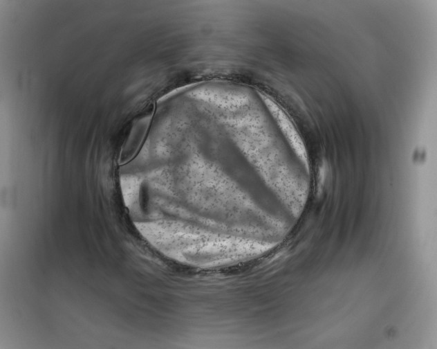 X0000100951250200807221113