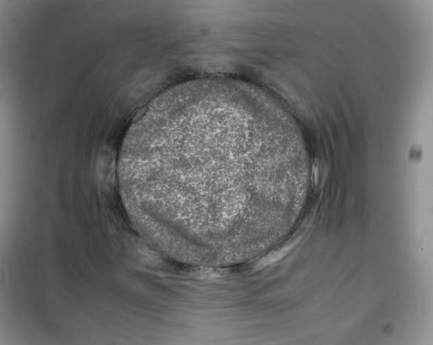 X0000100951251200807221113