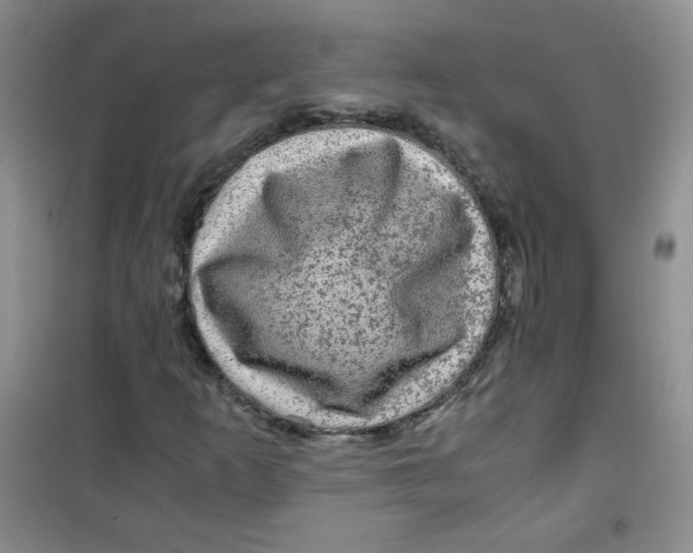 X0000100951253200807221113