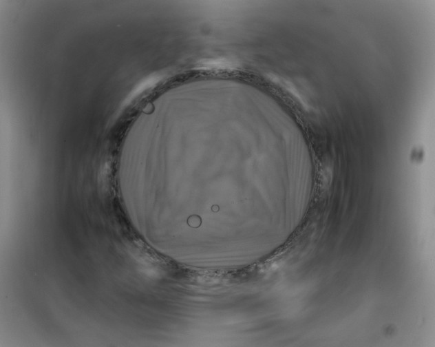 X0000100951254200807221113