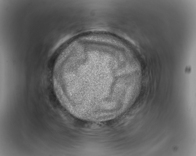 X0000100951255200807221113