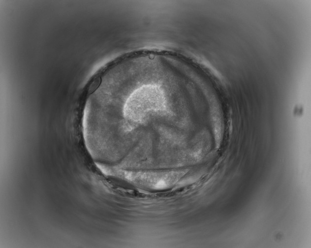 X0000100951256200807221113