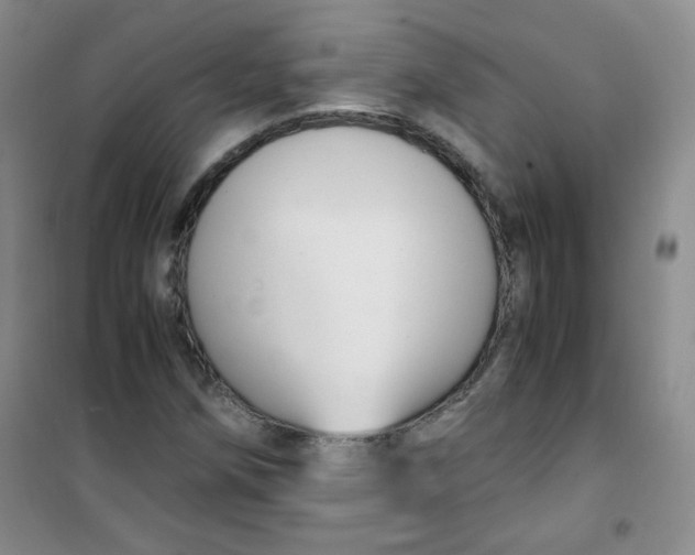 X0000100951258200807221113