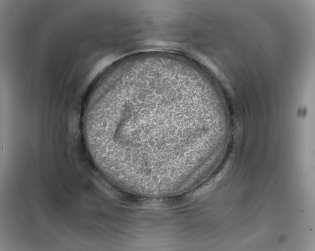 X0000100951259200807221113