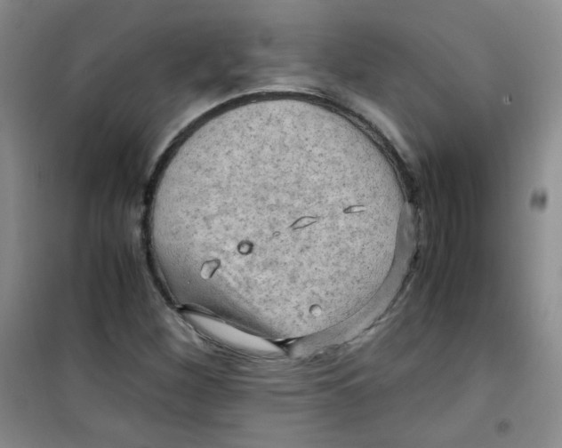 X0000100951260200807221113