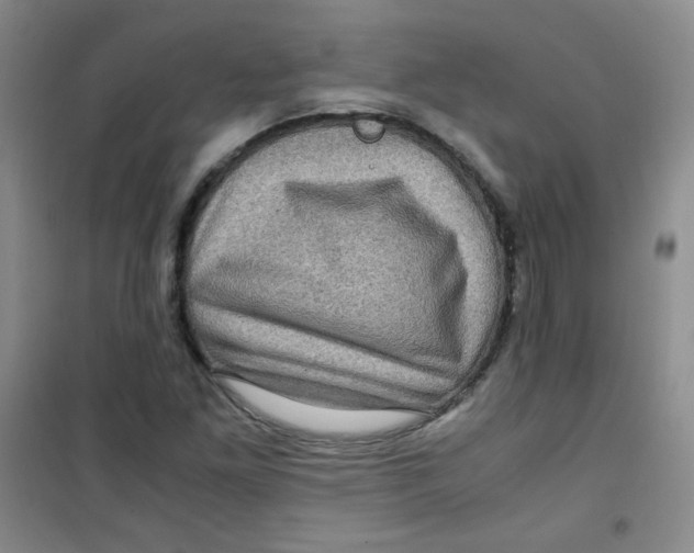 X0000100951261200807221113