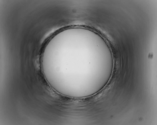 X0000100951262200807221113