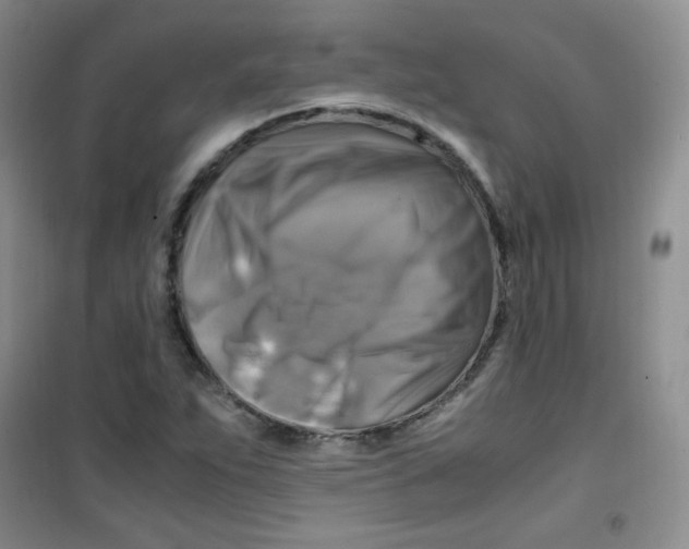 X0000100951263200807221113