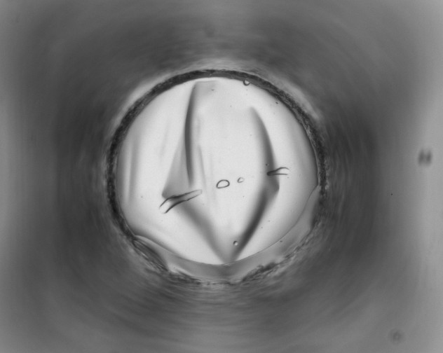 X0000100951264200807221113