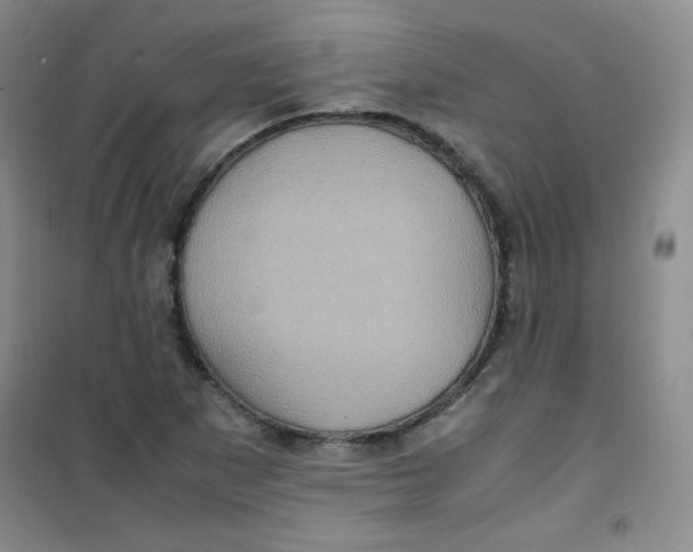 X0000100951265200807221113