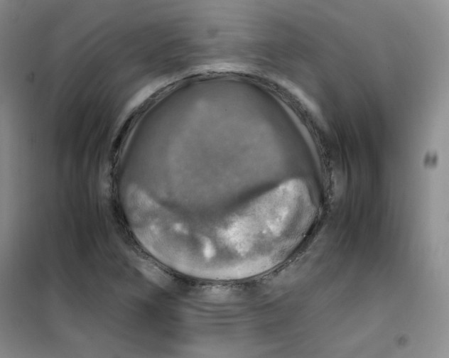 X0000100951266200807221113