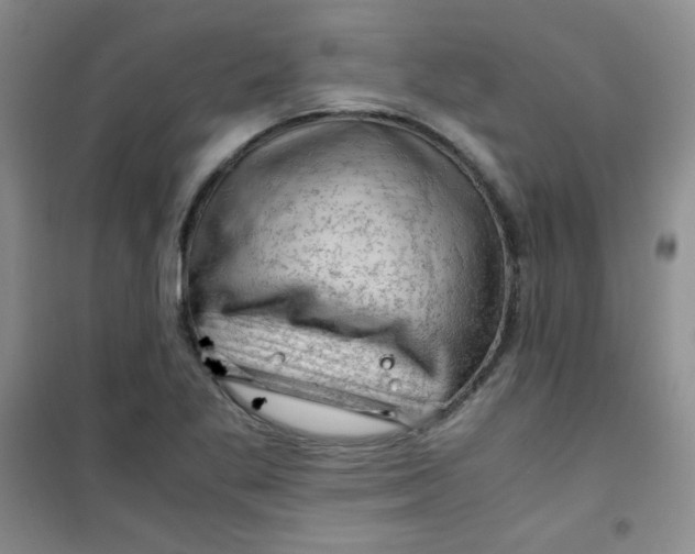 X0000100951269200807221112