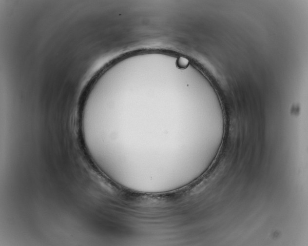 X0000100951270200807221112