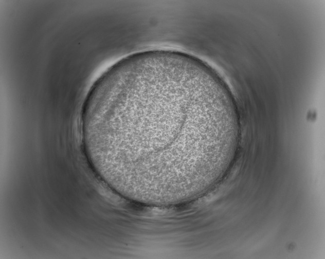 X0000100951271200807221112