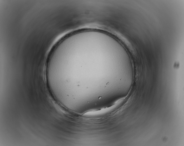 X0000100951272200807221112