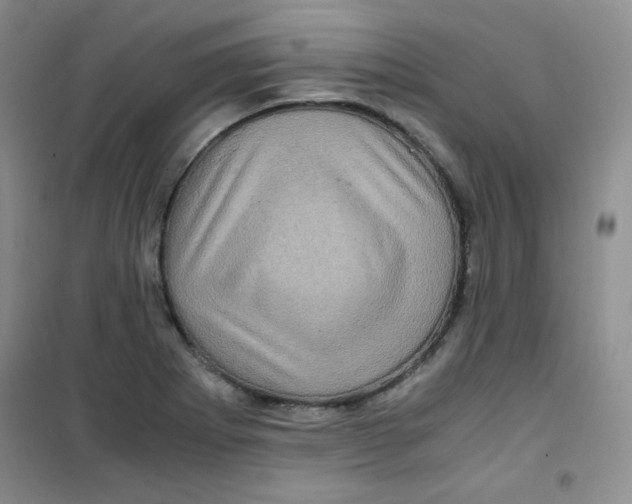 X0000100951273200807221112