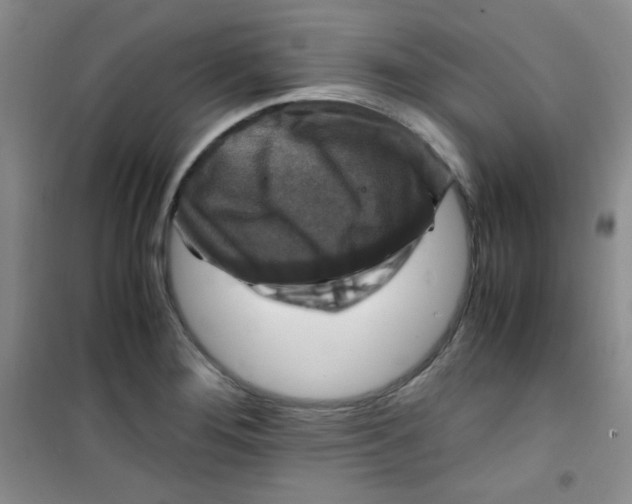 X0000100951276200807221112