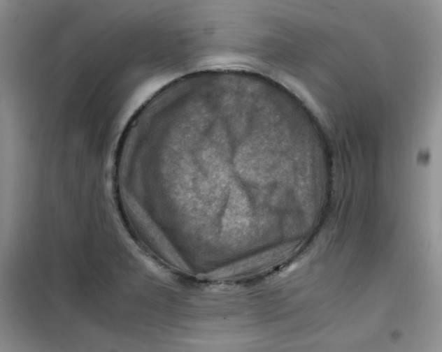 X0000100951277200807221112