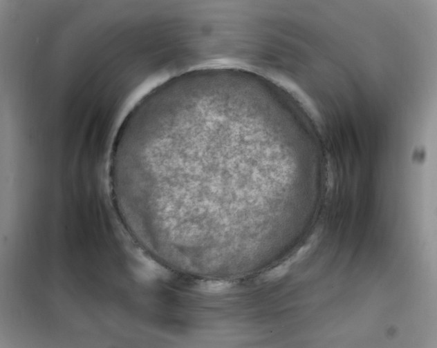 X0000100951278200807221112