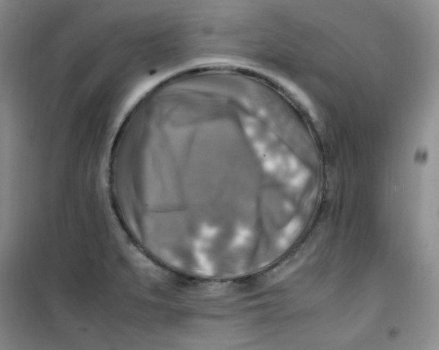 X0000100951279200807221112