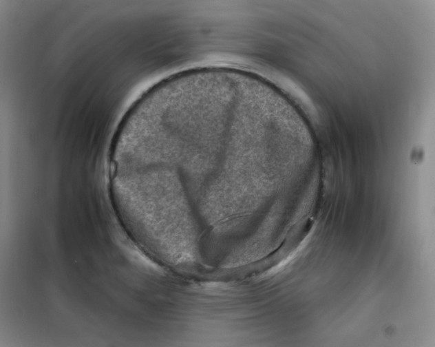 X0000100951280200807221112