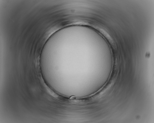 X0000100951281200807221112