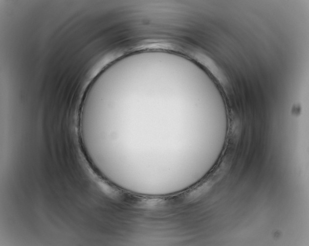 X0000100951282200807221112