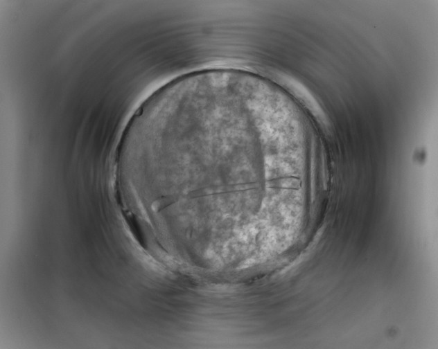 X0000100951284200807221112