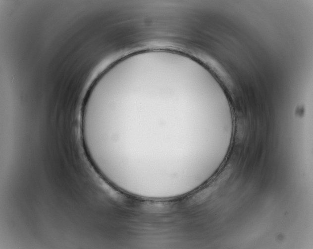 X0000100951286200807221112