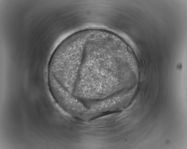 X0000100951287200807221112