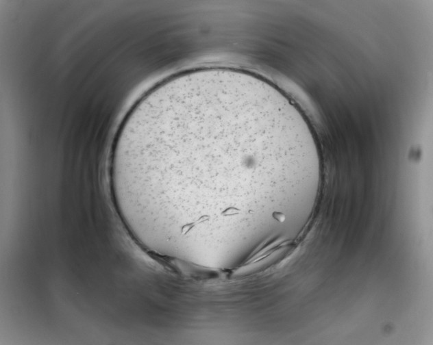 X0000100951288200807221112