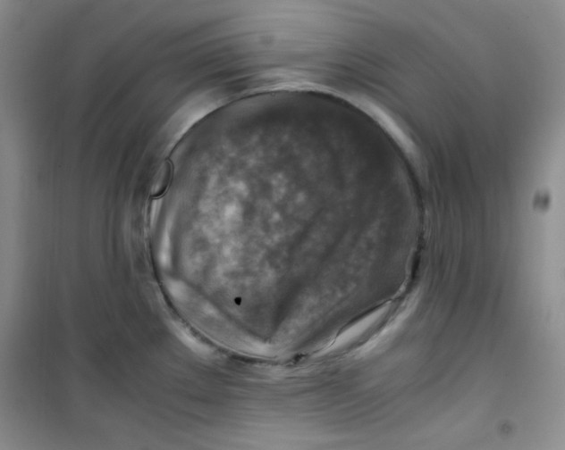 X0000100951289200807221112