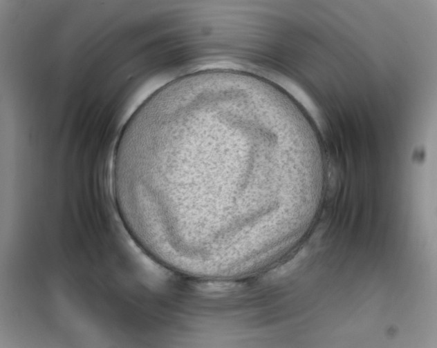 X0000100951290200807221112