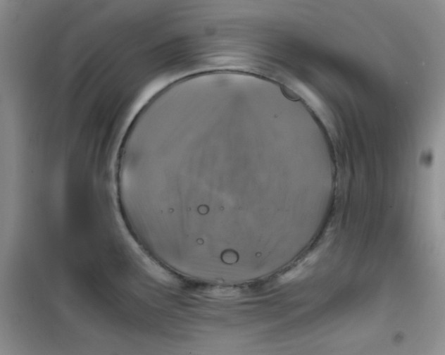 X0000100951291200807221112