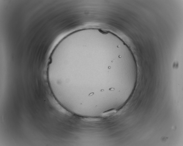 X0000100951296200807221112