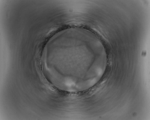 X0000100951297200807221111